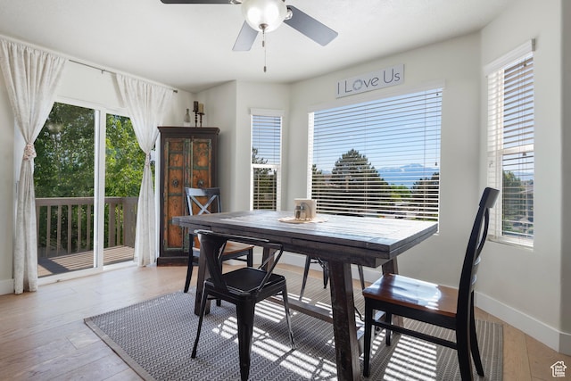 4952 W Buffalo Ct S, Riverton, UT 84096 - dining room with healthy amount of natural light, a ceiling fan, light wood-style floors, and baseboards