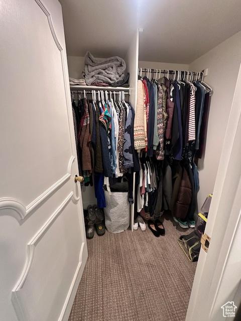 875 S Donner Way E Unit 208, Salt Lake City, UT 84108 - walk in closet featuring carpet flooring
