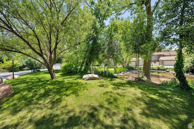5420 Willow Ln Unit F, Murray, UT 84107 - view of green lawn