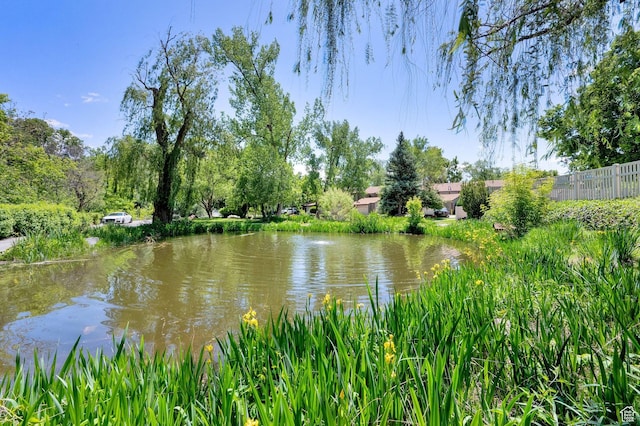 5420 Willow Ln Unit F, Murray, UT 84107 - water view