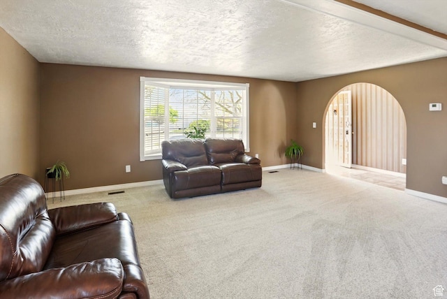 2226 W 1000 N, Tremonton, UT 84337 - living room with arched walkways, carpet, baseboards, and a textured ceiling