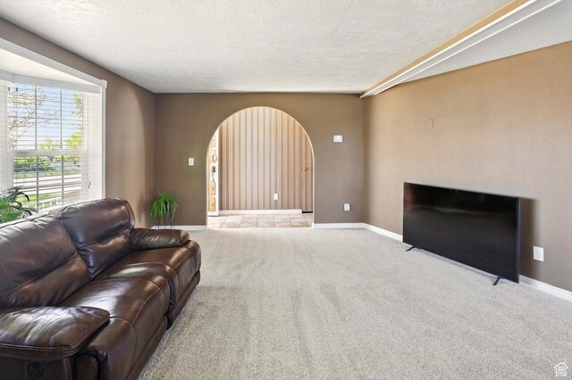 2226 W 1000 N, Tremonton, UT 84337 - carpeted living area featuring arched walkways, a textured ceiling, and baseboards