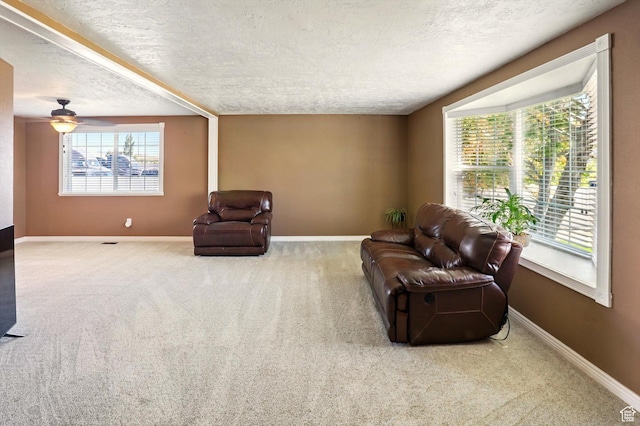 2226 W 1000 N, Tremonton, UT 84337 - sitting room featuring a textured ceiling, carpet, healthy amount of natural light, and baseboards