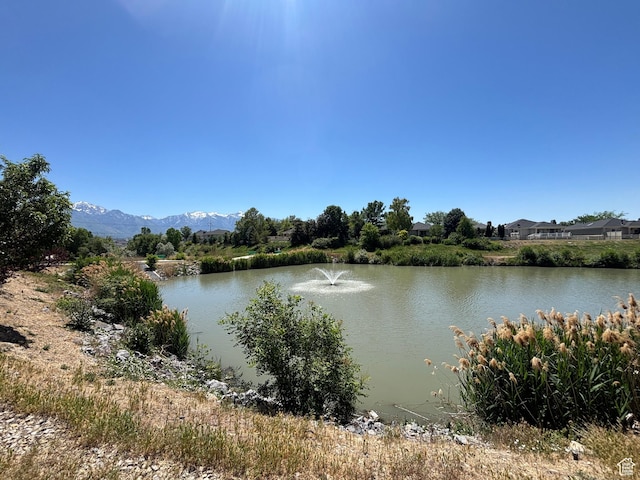 1169 W Bateman Point Dr, West Jordan, UT 84084 - photo 22