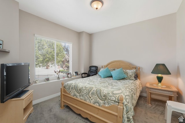 1169 W Bateman Dr, West Jordan, UT 84084 - bedroom with carpet flooring and baseboards