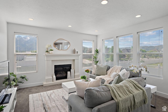 296 E 12025th St S, Draper, UT 84020 - carpeted living room featuring baseboards, a glass covered fireplace, recessed lighting, and a textured ceiling