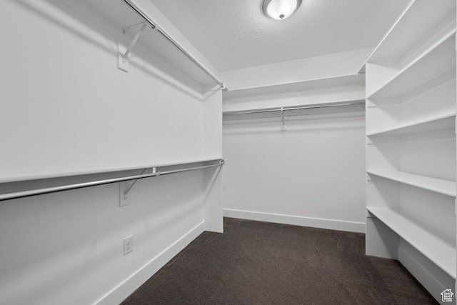296 E 12025th St S, Draper, UT 84020 - walk in closet featuring dark colored carpet