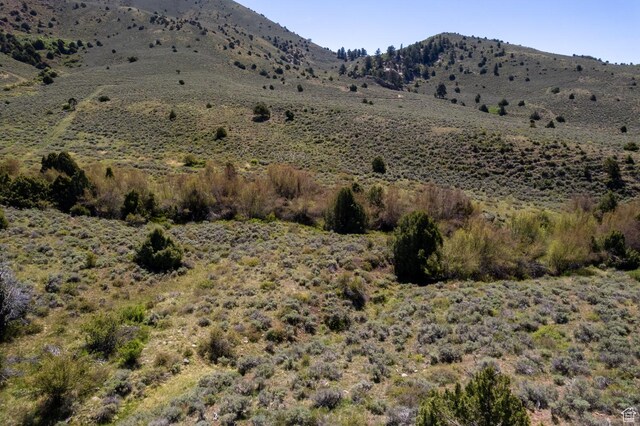 19200 N Paradise Park Rd Unit 1, Lapoint, UT 84039 - photo 8