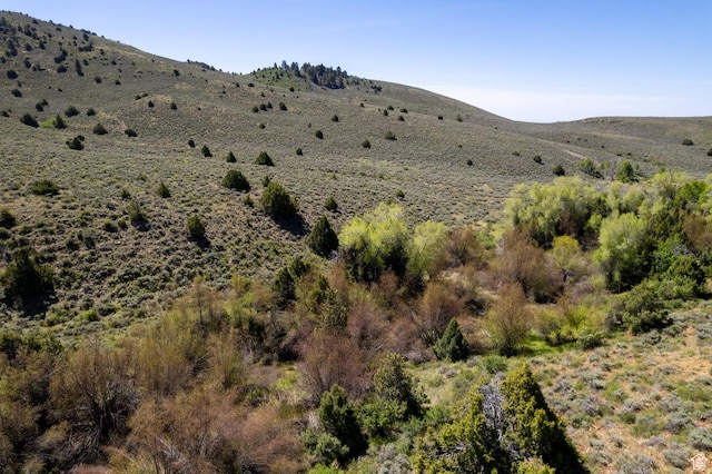 19200 N Paradise Park Rd Unit 1, Lapoint, UT 84039 - photo 9