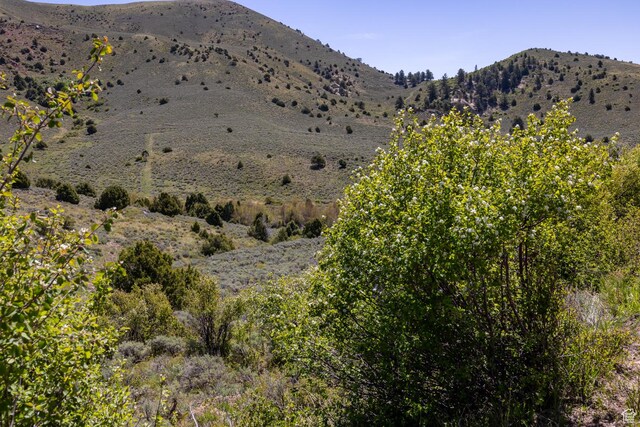 19200 N Paradise Park Rd Unit 1, Lapoint, UT 84039 - photo 12