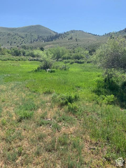 19200 N Paradise Park Rd Unit 1, Lapoint, UT 84039