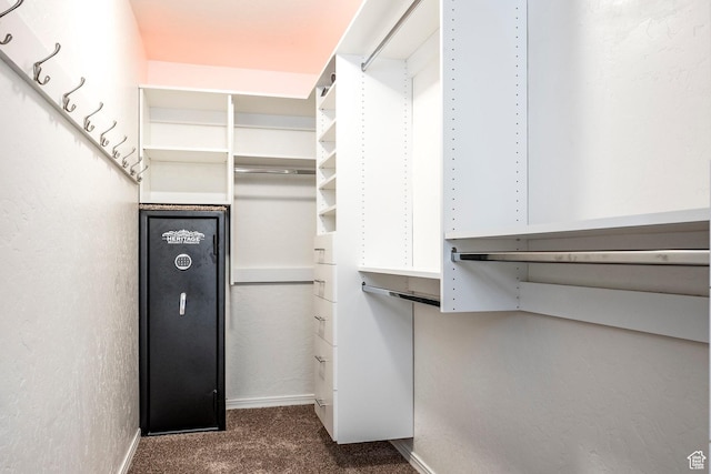 1189 E Fox Crest Dr, Park City, UT 84098 - spacious closet featuring dark colored carpet