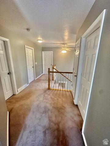 341 E Wilford Ave, Murray, UT 84107 - carpeted empty room featuring baseboards and ceiling fan