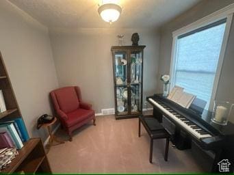 341 E Wilford Ave, Murray, UT 84107 - sitting room with carpet floors