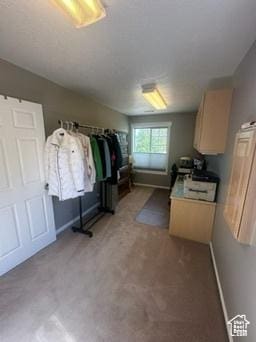 341 E Wilford Ave, Murray, UT 84107 - view of spacious closet