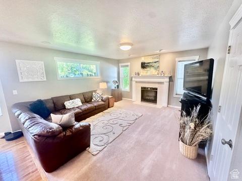 341 E Wilford Ave, Murray, UT 84107 - living room featuring a fireplace with flush hearth, a textured ceiling, and baseboards