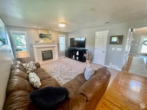 341 E Wilford Ave, Murray, UT 84107 - living room featuring healthy amount of natural light, a textured ceiling, a fireplace with flush hearth, baseboards, and wood finished floors
