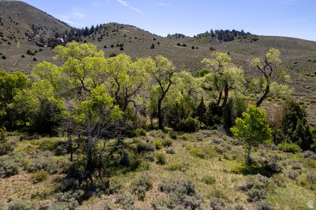 18000 N Paradise Park Rd Unit 4, Lapoint, UT 84039 - photo 6