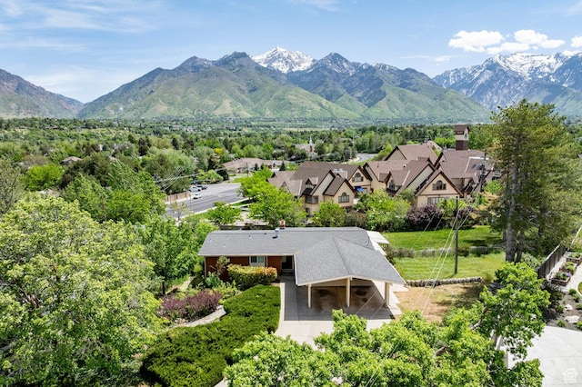 2006 E Creek Rd, Sandy, UT 84093 - mountain view
