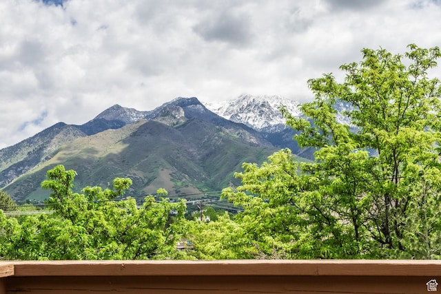 2006 E Creek Rd, Sandy, UT 84093 - mountain view