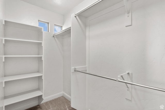 36 E 1450 N, Lehi, UT 84043 - walk in closet with carpet