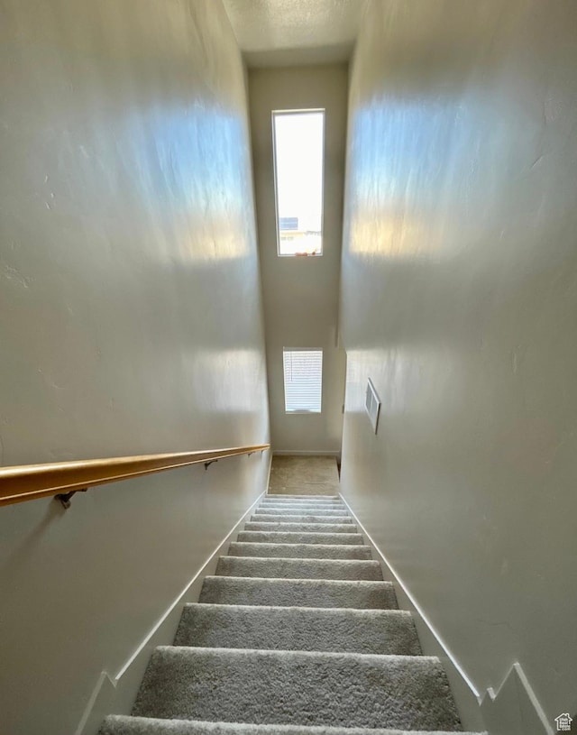 5288 W Solafax Ln Unit 34-1, Herriman, UT 84096 - stairs featuring plenty of natural light and carpet