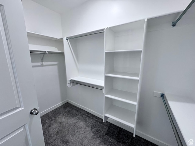 12754 S Quail Lake Dr Unit 126, Riverton, UT 84096 - walk in closet with dark carpet