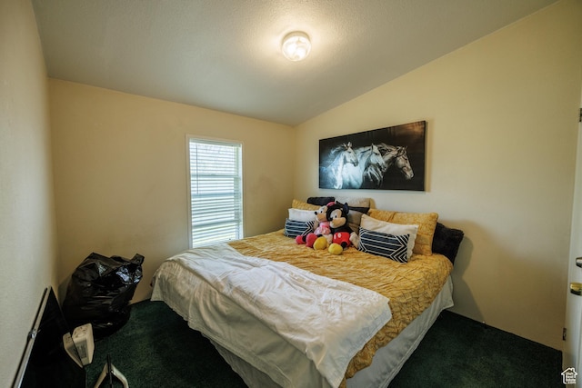 1085 S S River Ridge Ln, Joseph, UT 84739 - bedroom with carpet flooring and lofted ceiling