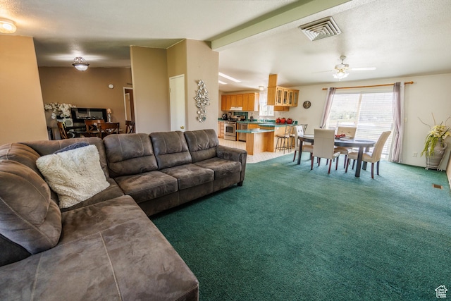 1085 S S River Ridge Ln, Joseph, UT 84739 - carpeted living area with a ceiling fan