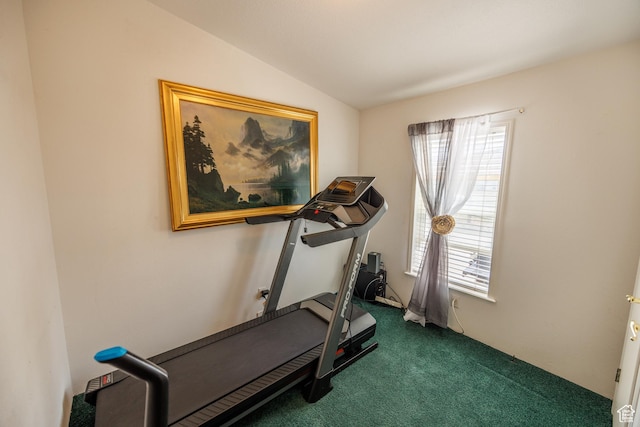 1085 S S River Ridge Ln, Joseph, UT 84739 - workout area featuring carpet and lofted ceiling