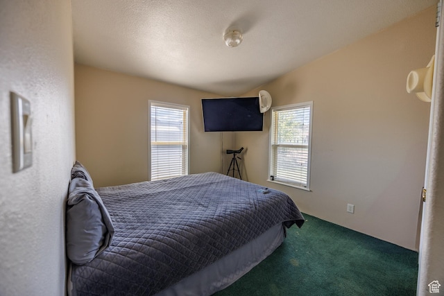 1085 S S River Ridge Ln, Joseph, UT 84739 - bedroom featuring carpet
