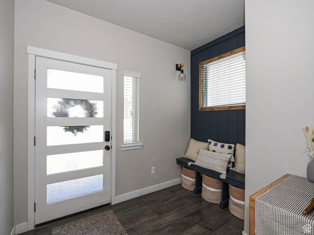 957 W Mckenna Rd, Bluffdale, UT 84065 - entrance foyer with healthy amount of natural light, dark wood-style flooring, baseboards, and wood walls
