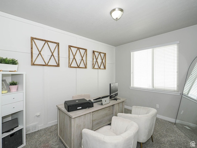 957 W Mckenna Rd, Bluffdale, UT 84065 - office with baseboards, carpet, and plenty of natural light