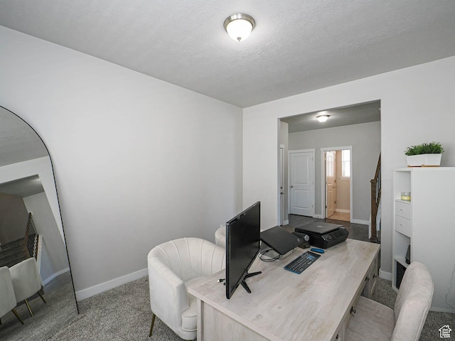 957 W Mckenna Rd, Bluffdale, UT 84065 - office featuring carpet floors, baseboards, and a textured ceiling