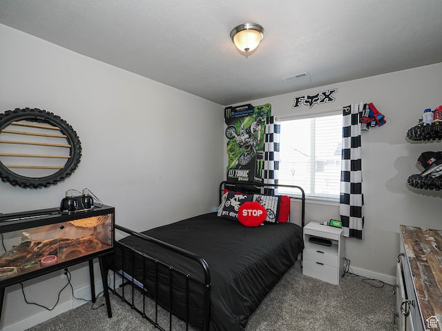 957 W Mckenna Rd, Bluffdale, UT 84065 - carpeted bedroom with baseboards