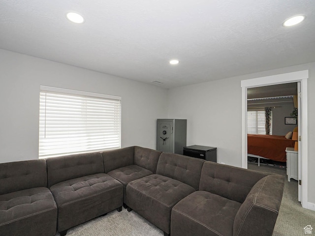 957 W Mckenna Rd, Bluffdale, UT 84065 - carpeted living room featuring recessed lighting