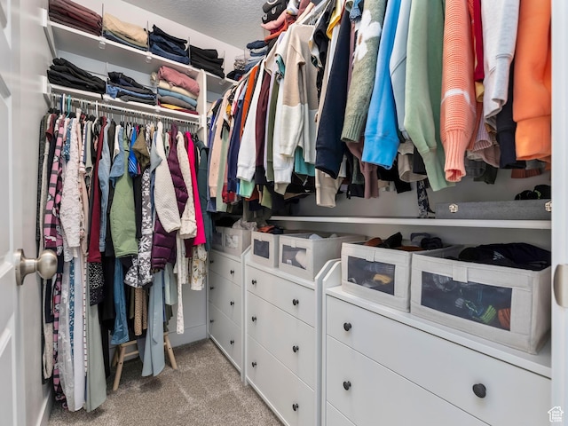 1031 W 360 S, American Fork, UT 84003 - walk in closet featuring carpet