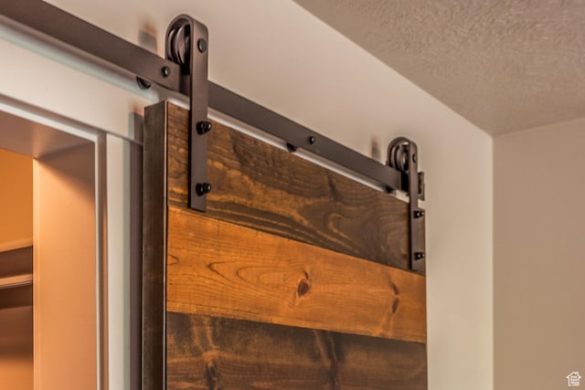 5242 W Cool Water Way S, West Jordan, UT 84081 - detailed view of a textured ceiling