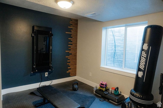 217 S 1230 W Unit 15, Spanish Fork, UT 84660 - exercise area featuring baseboards, a textured ceiling, and carpet flooring
