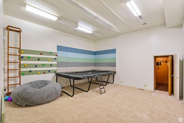 177 S Canyon Ave, Springville, UT 84663 - recreation room with carpet