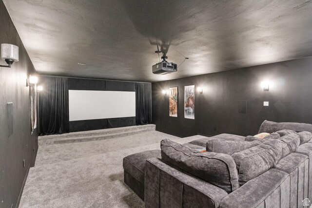 177 S Canyon Ave, Springville, UT 84663 - view of carpeted cinema room