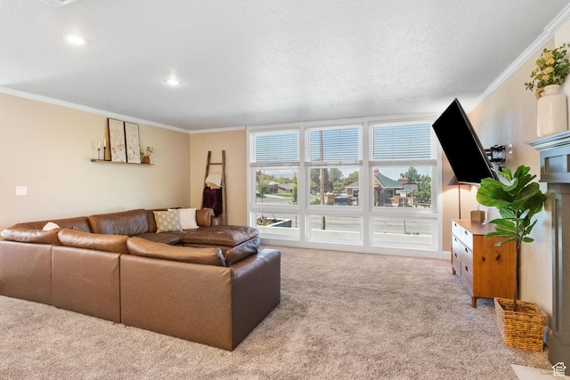 177 S Canyon Ave, Springville, UT 84663 - living area with carpet floors, ornamental molding, and recessed lighting