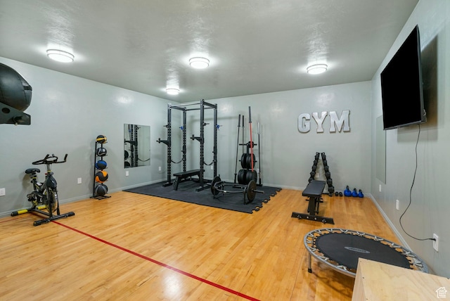 177 S Canyon Ave, Springville, UT 84663 - exercise area with wood finished floors and baseboards