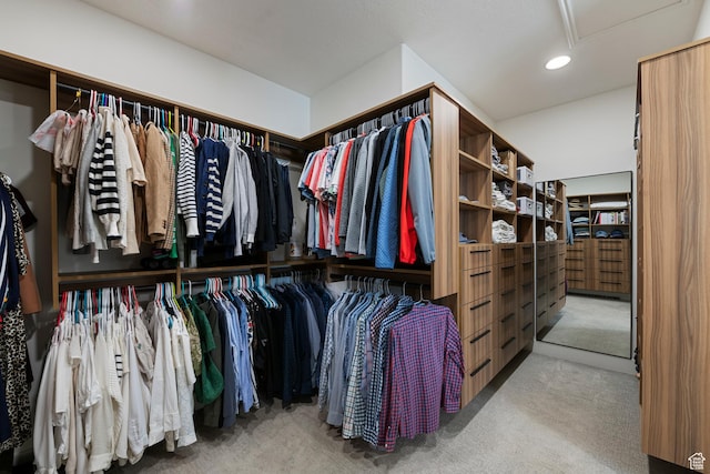 1446 E Anvil Dr, Draper, UT 84020 - walk in closet featuring carpet and attic access
