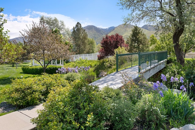 1446 E Anvil Dr, Draper, UT 84020 - view of mountain backdrop