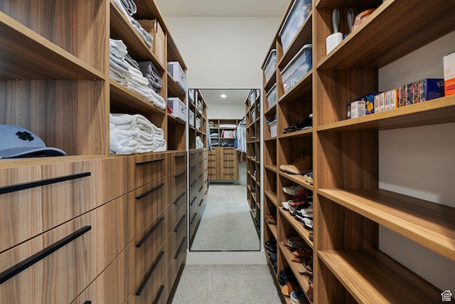 1446 E Anvil Dr, Draper, UT 84020 - spacious closet with light carpet