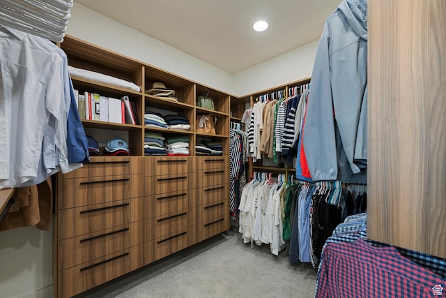 1446 E Anvil Dr, Draper, UT 84020 - walk in closet featuring carpet