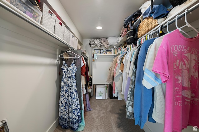1446 E Anvil Dr, Draper, UT 84020 - walk in closet with carpet