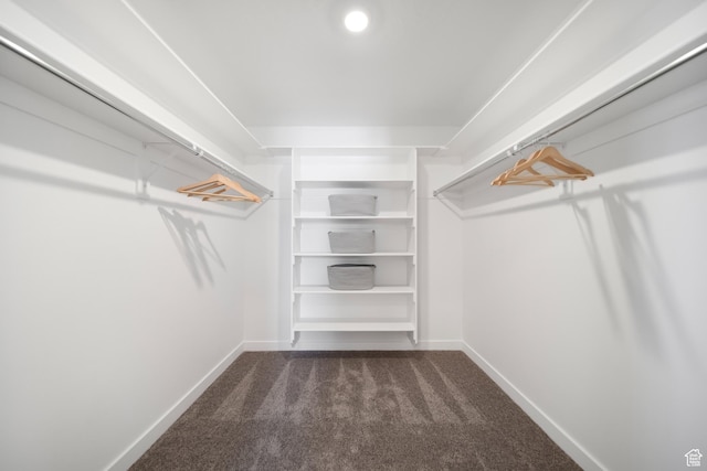 473 N Northshore Dr, Saratoga Springs, UT 84045 - spacious closet with dark carpet