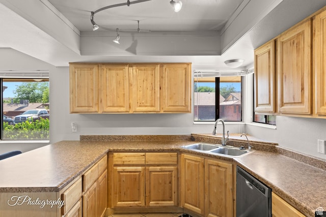 840 S 400 E Unit 46, St George, UT 84770 - kitchen with dishwasher, a sink, track lighting, and light brown cabinets